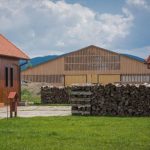 Article of the week: The barn for all. The riding stables of Sânsimion