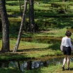 Zeppelin #174: Ecosystems. Summary
