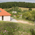 Zeppelin #176: „My own house”. Summary