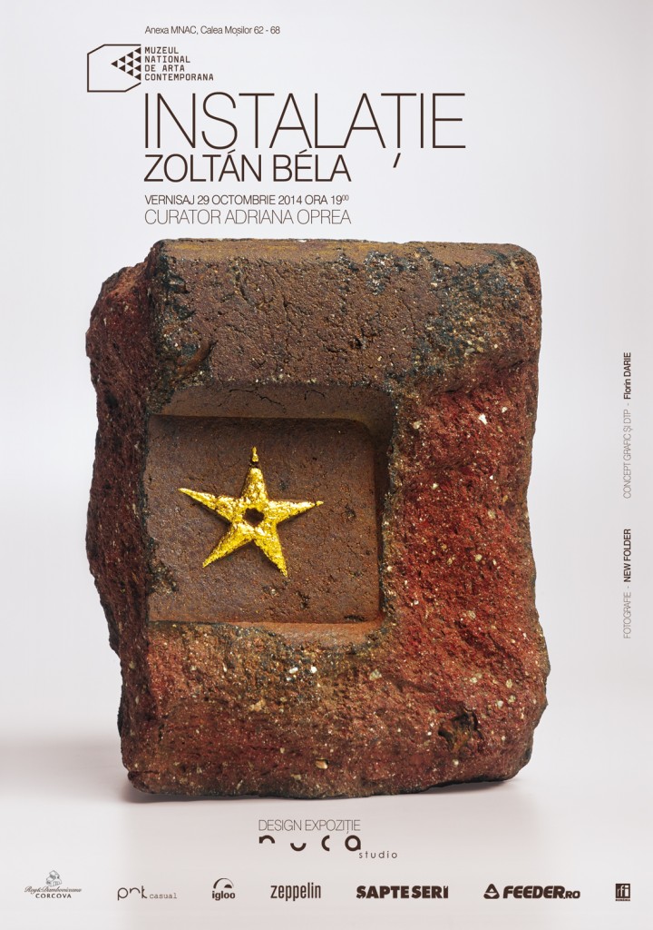 afis Instalatie Zoltan Bela - Relicva - MNAC Anexa