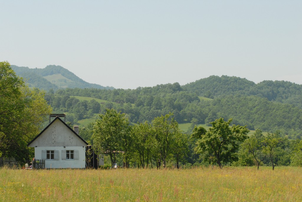 Dealu’ Cerului -Fundația Archaeus - Rezervația Cheile Nerei-Beuşniţa -site