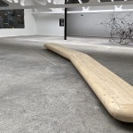 „Sensul sculpturii“. Obiecte, spații, pedagogie la Kunsthalle Bega - în Timișoara și București