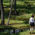 Zeppelin #174: Ecosisteme. Sumar