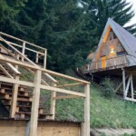 Zeppelin #174: Ecosisteme. Sumar