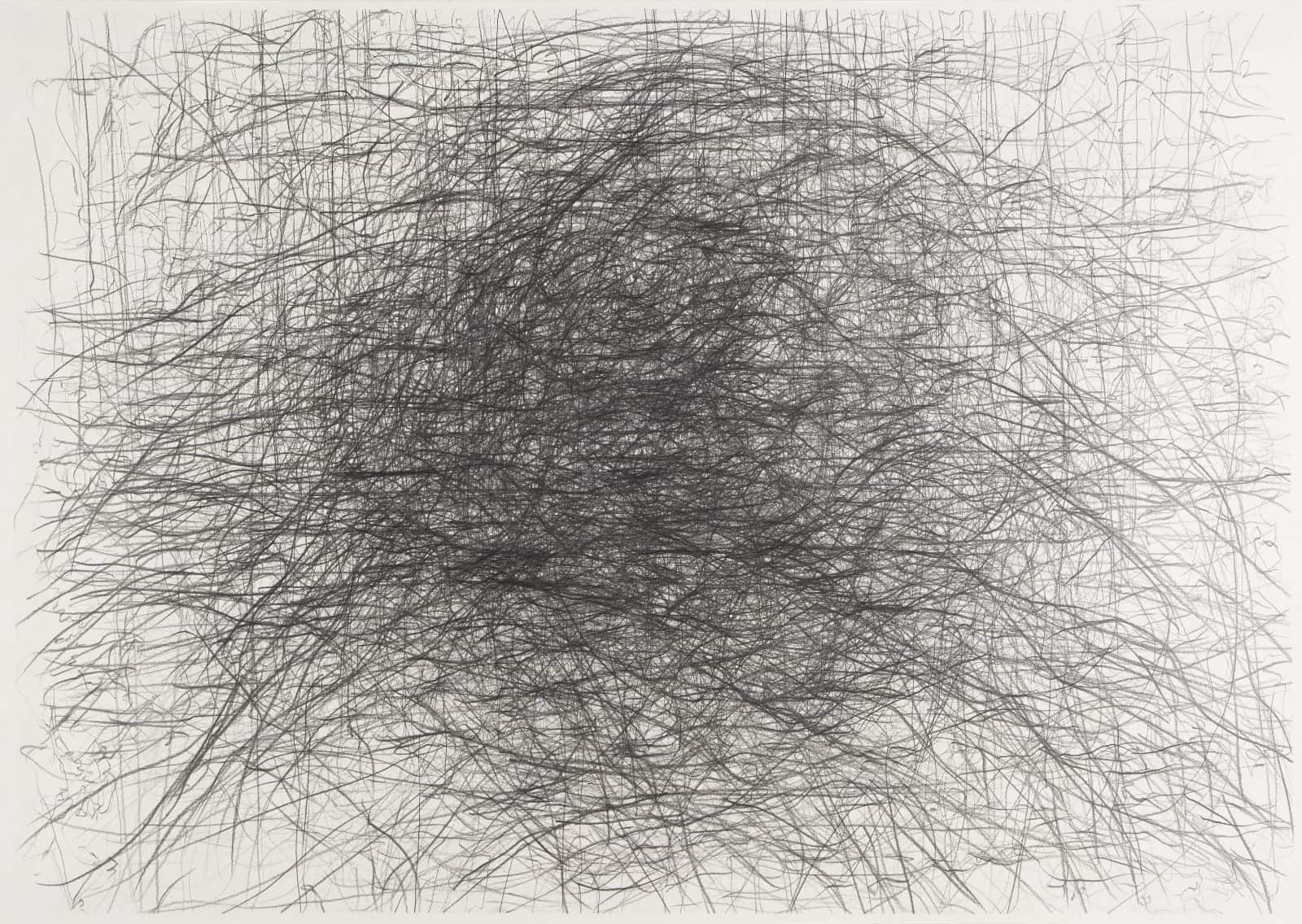 Premiul III – Mihai Ciplea, Tracing Time, Study on Stalker -Tarkovsky III, creion grafic pe hârtie, 70 X 100 cm