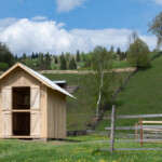 Zeppelin #176: „Case pe pământ”. Sumar