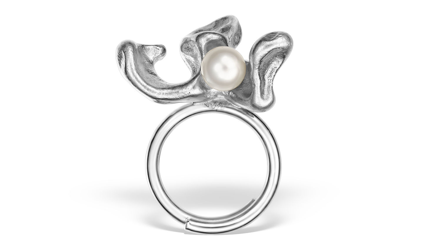 Stacked from 29 images. Method=B (R=8,S=4)