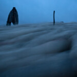 Acum pe marele ecran: „Ultima transhumanță”, de Dragoș Lumpan