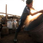 Acum pe marele ecran: „Ultima transhumanță”, de Dragoș Lumpan