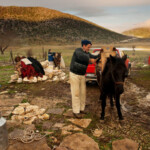 Acum pe marele ecran: „Ultima transhumanță”, de Dragoș Lumpan