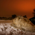 Acum pe marele ecran: „Ultima transhumanță”, de Dragoș Lumpan