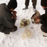 Acum pe marele ecran: „Ultima transhumanță”, de Dragoș Lumpan