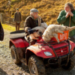 Acum pe marele ecran: „Ultima transhumanță”, de Dragoș Lumpan