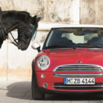 Cum proiectăm pentru permacriză? It’s time to go MINI