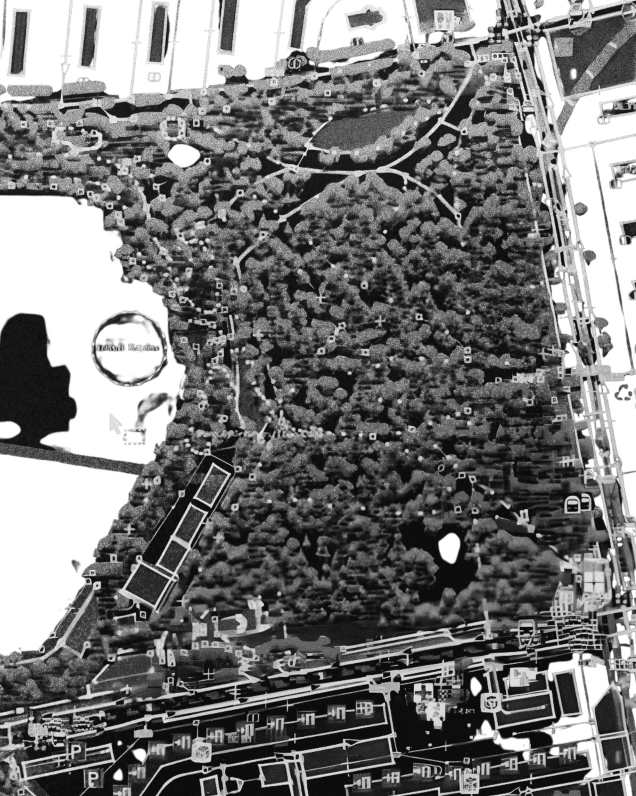 salvati parcul ior -foto (3)